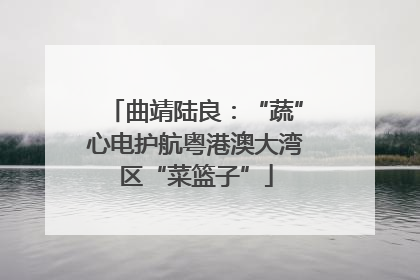 曲靖陆良：“蔬”心电护航粤港澳大湾区“菜篮子”
