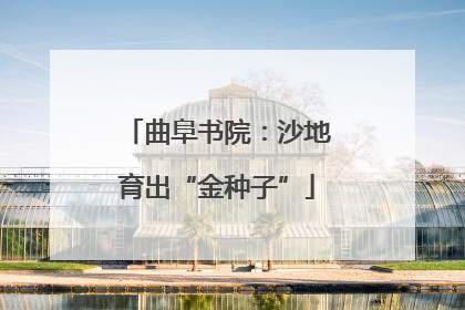 曲阜书院：沙地育出“金种子”