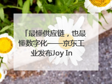 最懂供应链，也最懂数字化——京东工业发布Joy Industrial 重塑工业未来