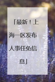 最新！上海一区发布人事任免信息