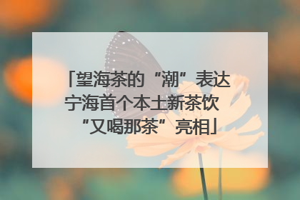 望海茶的“潮”表达 宁海首个本土新茶饮“又喝那茶”亮相