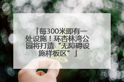 每300米即有一处设施！环杏林湾公园将打造“无障碍设施样板区”