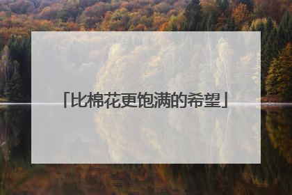 比棉花更饱满的希望