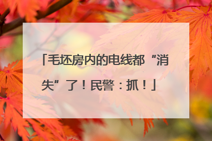 毛坯房内的电线都“消失”了！民警：抓！