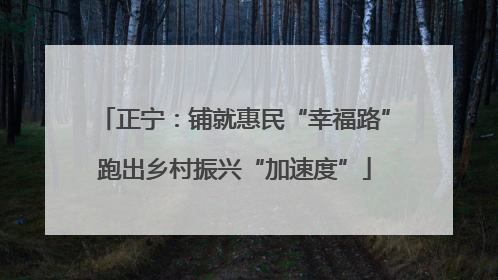 正宁：铺就惠民“幸福路”跑出乡村振兴“加速度”