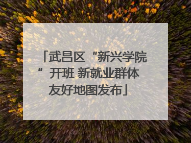 武昌区“新兴学院”开班 新就业群体友好地图发布