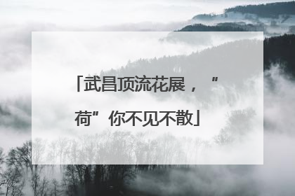 武昌顶流花展，“荷”你不见不散