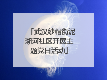 武汉纱帽街泥湖河社区开展主题党日活动
