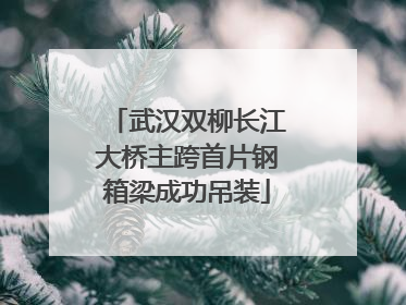 武汉双柳长江大桥主跨首片钢箱梁成功吊装