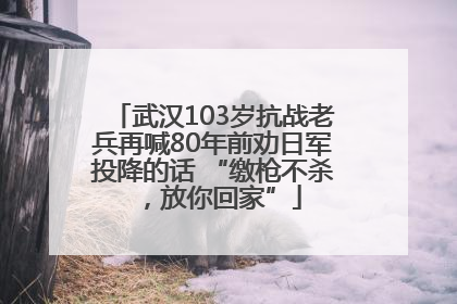 武汉103岁抗战老兵再喊80年前劝日军投降的话 “缴枪不杀，放你回家”