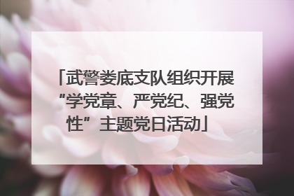 武警娄底支队组织开展“学党章、严党纪、强党性”主题党日活动