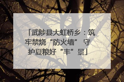 武陟县大虹桥乡：筑牢禁烧“防火墙” 守护夏粮好“丰”景