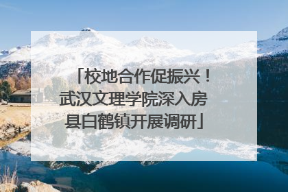 校地合作促振兴！武汉文理学院深入房县白鹤镇开展调研