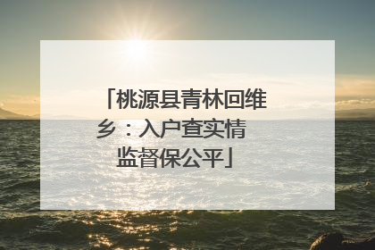 桃源县青林回维乡：入户查实情 监督保公平