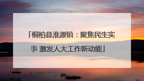 桐柏县淮源镇：聚焦民生实事 激发人大工作新动能