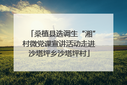 桑植县选调生“湘”村微党课宣讲活动走进沙塔坪乡沙塔坪村