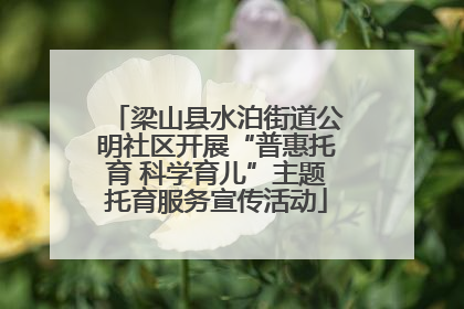 梁山县水泊街道公明社区开展“普惠托育 科学育儿”主题托育服务宣传活动