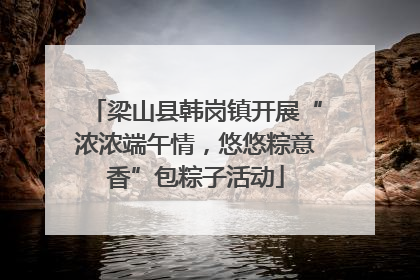 梁山县韩岗镇开展“浓浓端午情，悠悠粽意香”包粽子活动