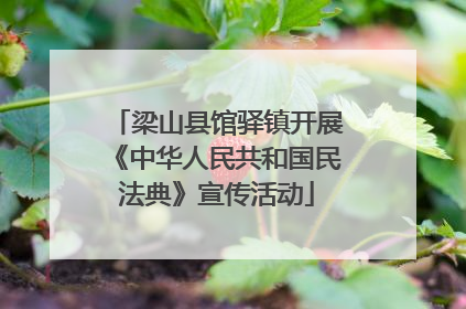 梁山县馆驿镇开展《中华人民共和国民法典》宣传活动
