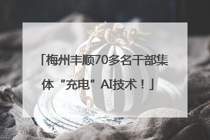 梅州丰顺70多名干部集体“充电”AI技术！