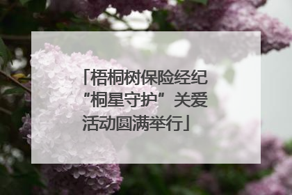 梧桐树保险经纪“桐星守护”关爱活动圆满举行