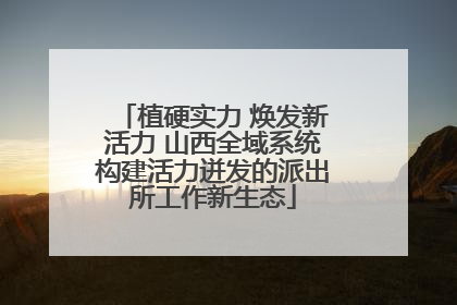 植硬实力 焕发新活力 山西全域系统构建活力迸发的派出所工作新生态