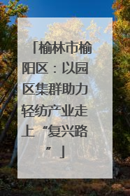 榆林市榆阳区：以园区集群助力轻纺产业走上“复兴路”