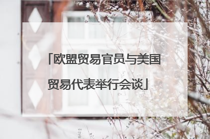 欧盟贸易官员与美国贸易代表举行会谈