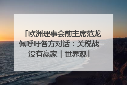 欧洲理事会前主席范龙佩呼吁各方对话：关税战没有赢家｜世界观