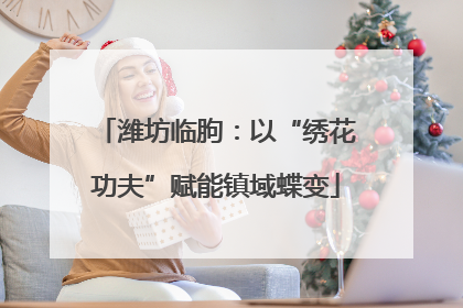 潍坊临朐：以“绣花功夫”赋能镇域蝶变