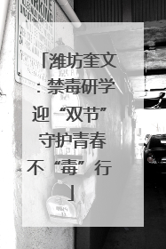 潍坊奎文：禁毒研学迎“双节” 守护青春不“毒”行