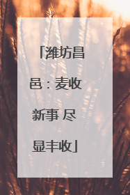 潍坊昌邑：麦收新事 尽显丰收