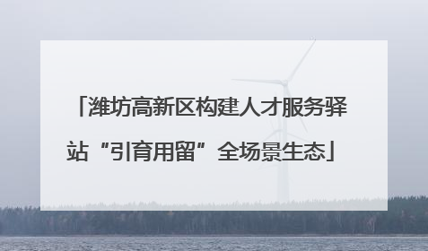潍坊高新区构建人才服务驿站“引育用留”全场景生态