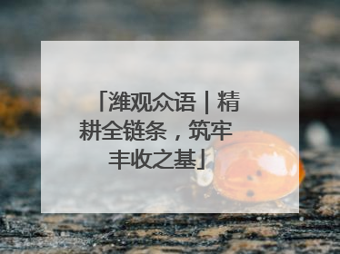 潍观众语｜精耕全链条，筑牢丰收之基