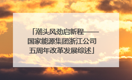 潮头风劲启新程——国家能源集团浙江公司五周年改革发展综述