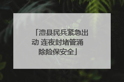 澧县民兵紧急出动 连夜封堵管涌除险保安全