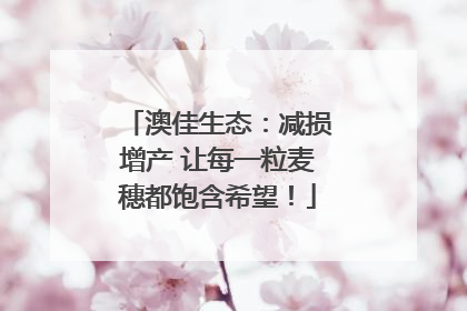 澳佳生态：减损增产 让每一粒麦穗都饱含希望！