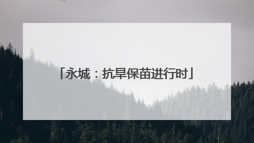 永城：抗旱保苗进行时
