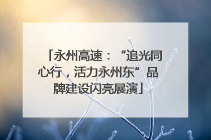永州高速：“追光同心行，活力永州东”品牌建设闪亮展演