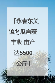 永春东关镇冬瓜喜获丰收 亩产达5500公斤