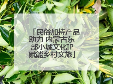 民俗加持产品助力 内蒙古东部小城文化IP赋能乡村文旅
