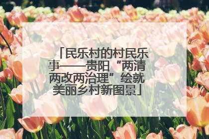 民乐村的村民乐事——贵阳“两清两改两治理”绘就美丽乡村新图景