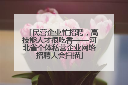 民营企业忙招聘，高技能人才很吃香——河北省个体私营企业网络招聘大会扫描