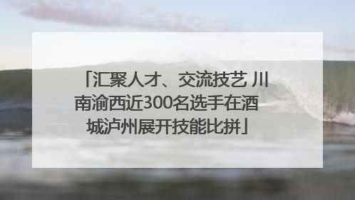 汇聚人才、交流技艺 川南渝西近300名选手在酒城泸州展开技能比拼