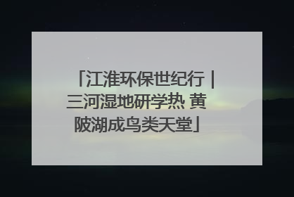 江淮环保世纪行｜三河湿地研学热 黄陂湖成鸟类天堂