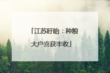 江苏盱眙：种粮大户喜获丰收