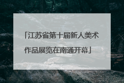 江苏省第十届新人美术作品展览在南通开幕