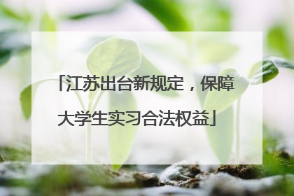 江苏出台新规定，保障大学生实习合法权益