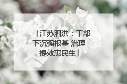 江苏泗洪：干部下沉强根基 治理提效惠民生
