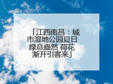 江西南昌：城市湿地公园夏日绿意盎然 荷花渐开引客来
